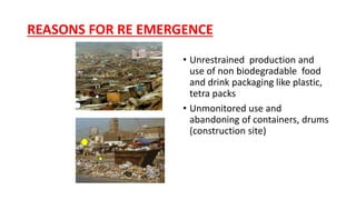 REASONS FOR RE EMERGENCE
• Unrestrained production and
use of non biodegradable food
and drink packaging like plastic,
tetra packs
• Unmonitored use and
abandoning of containers, drums
(construction site)
 