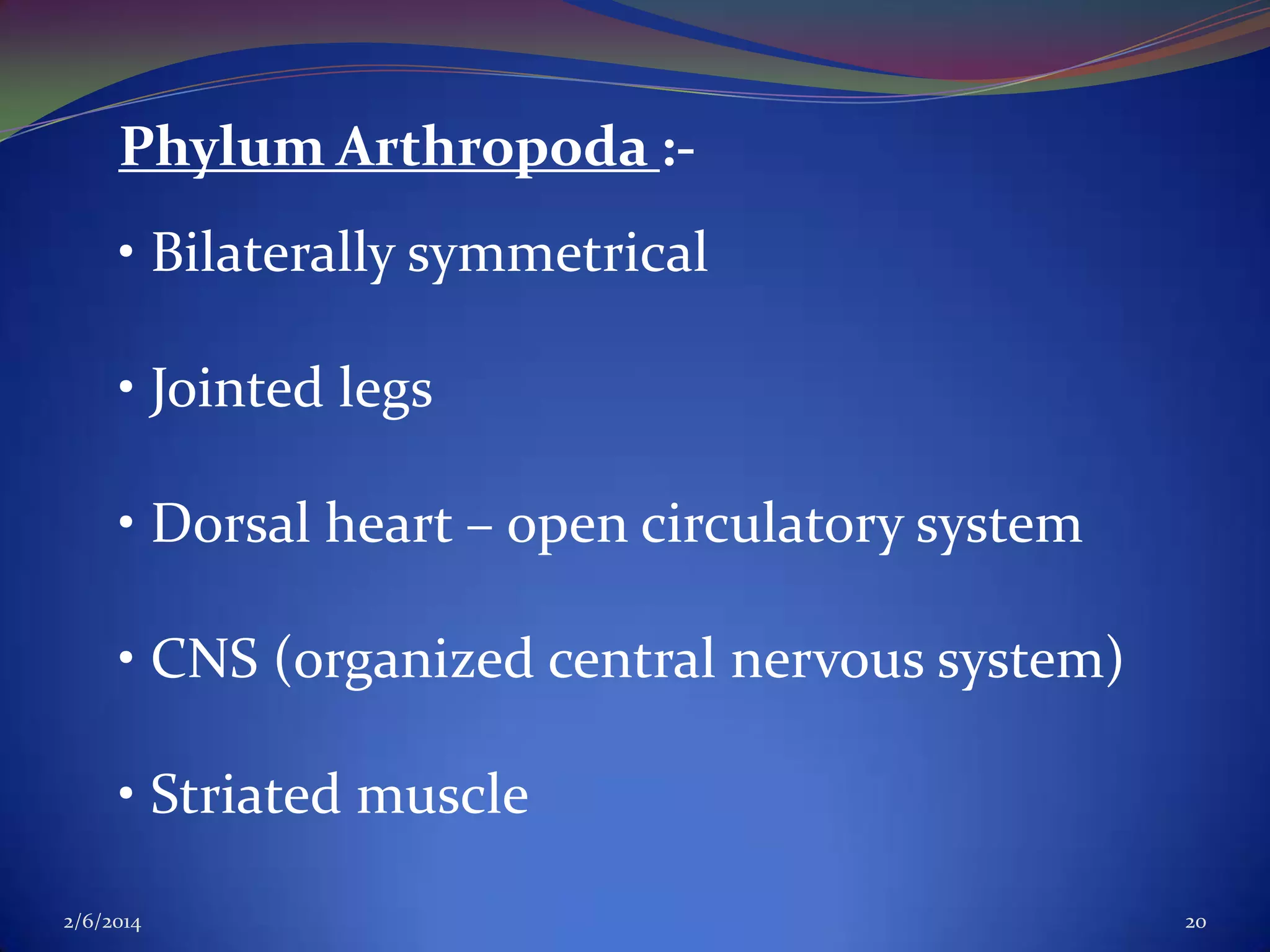 Phylum Arthropoda :• Bilaterally symmetrical
• Jointed legs

• Dorsal heart – open circulatory system
• CNS (organized central nervous system)
• Striated muscle
2/6/2014

20

 