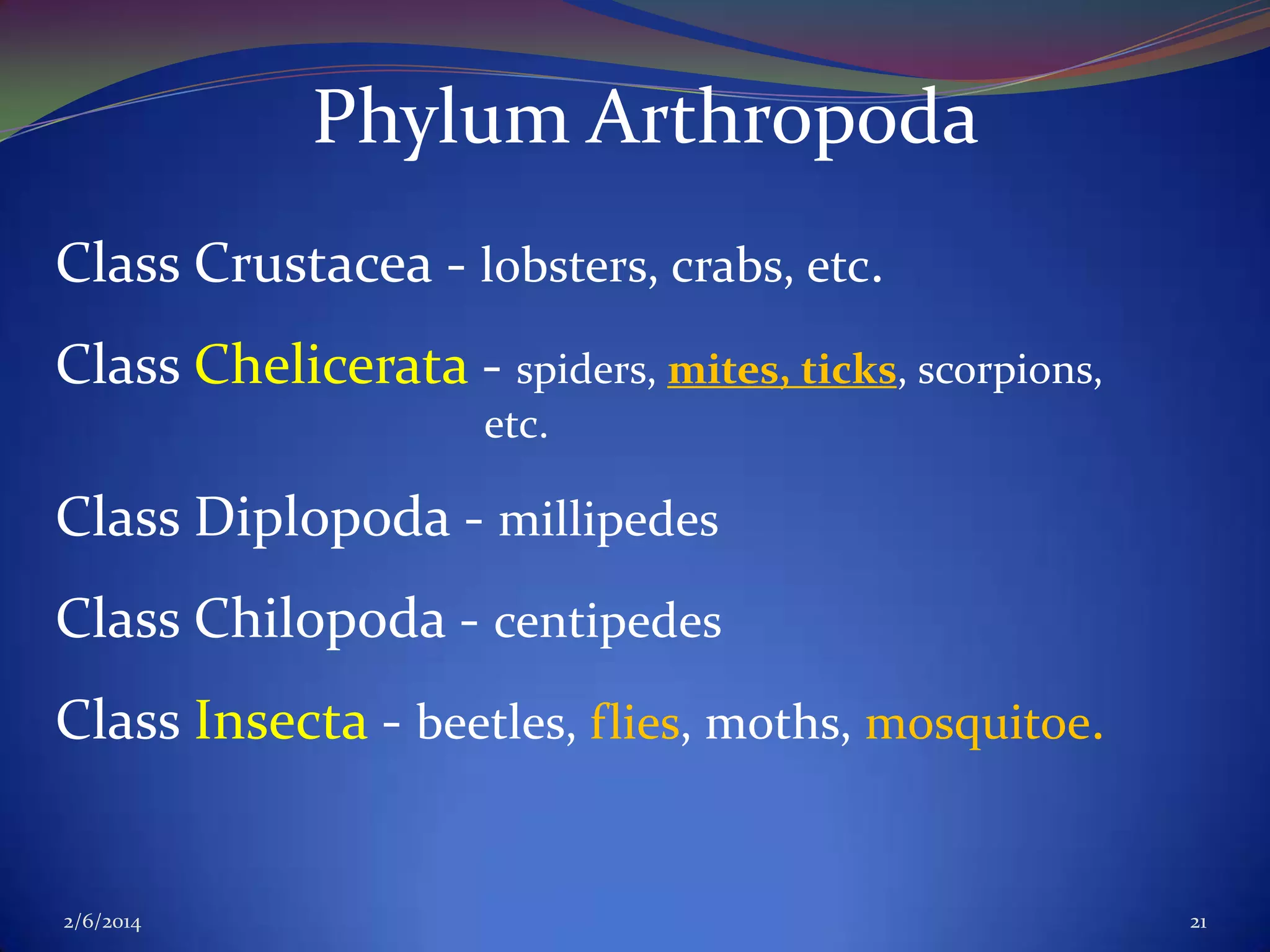 Phylum Arthropoda
Class Crustacea - lobsters, crabs, etc.

Class Chelicerata - spiders, mites, ticks, scorpions,
etc.

Class Diplopoda - millipedes
Class Chilopoda - centipedes
Class Insecta - beetles, flies, moths, mosquitoe.

2/6/2014

21

 