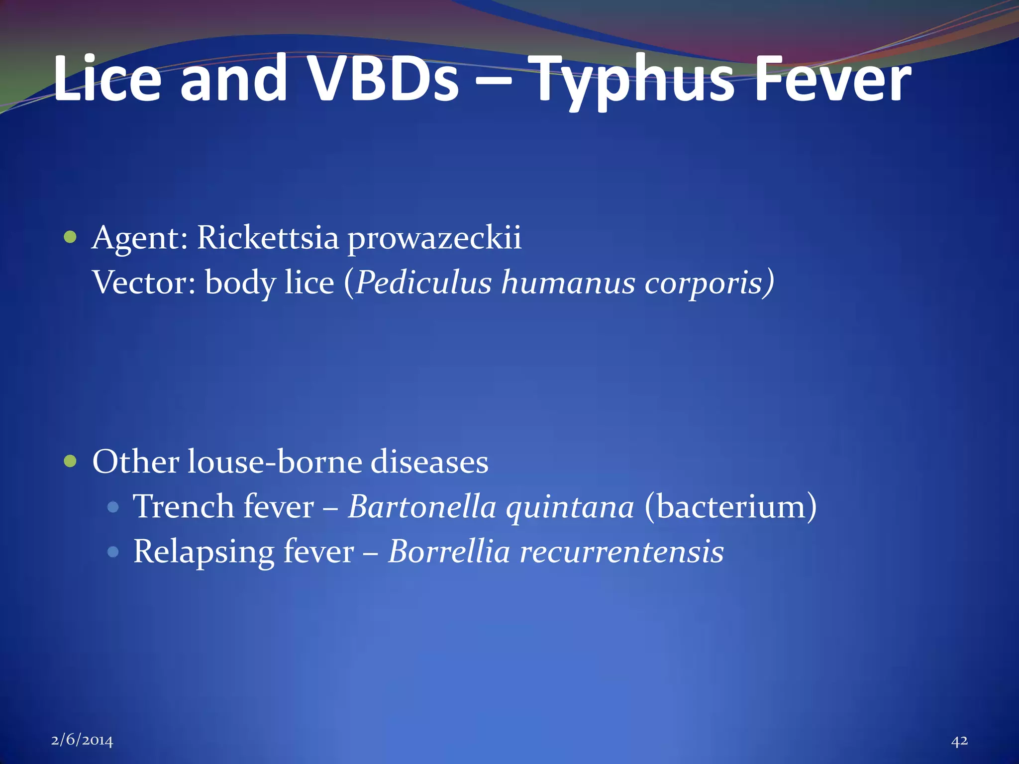 Lice and VBDs – Typhus Fever
 Agent: Rickettsia prowazeckii

Vector: body lice (Pediculus humanus corporis)

 Other louse-borne diseases
 Trench fever – Bartonella quintana (bacterium)
 Relapsing fever – Borrellia recurrentensis

2/6/2014

42

 