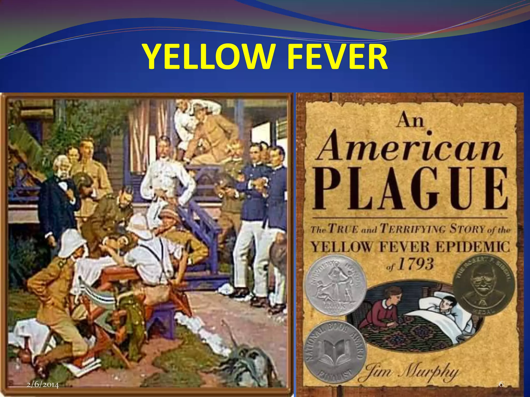 YELLOW FEVER

2/6/2014

6

 