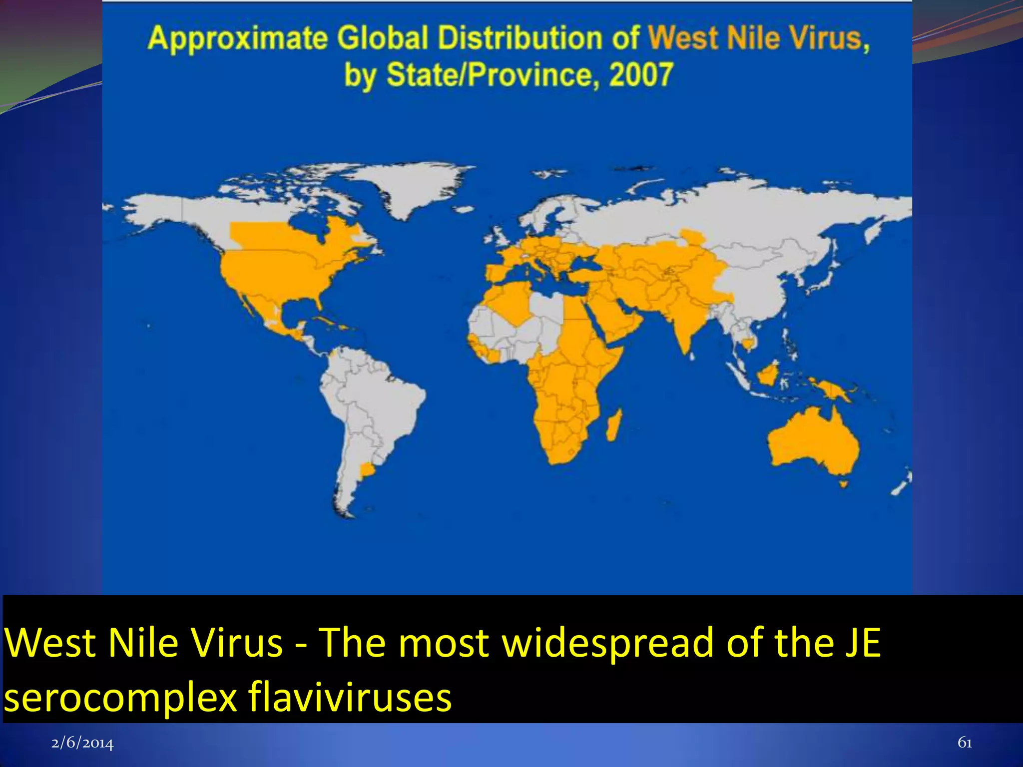 West Nile Virus - The most widespread of the JE
serocomplex flaviviruses
2/6/2014

61

 