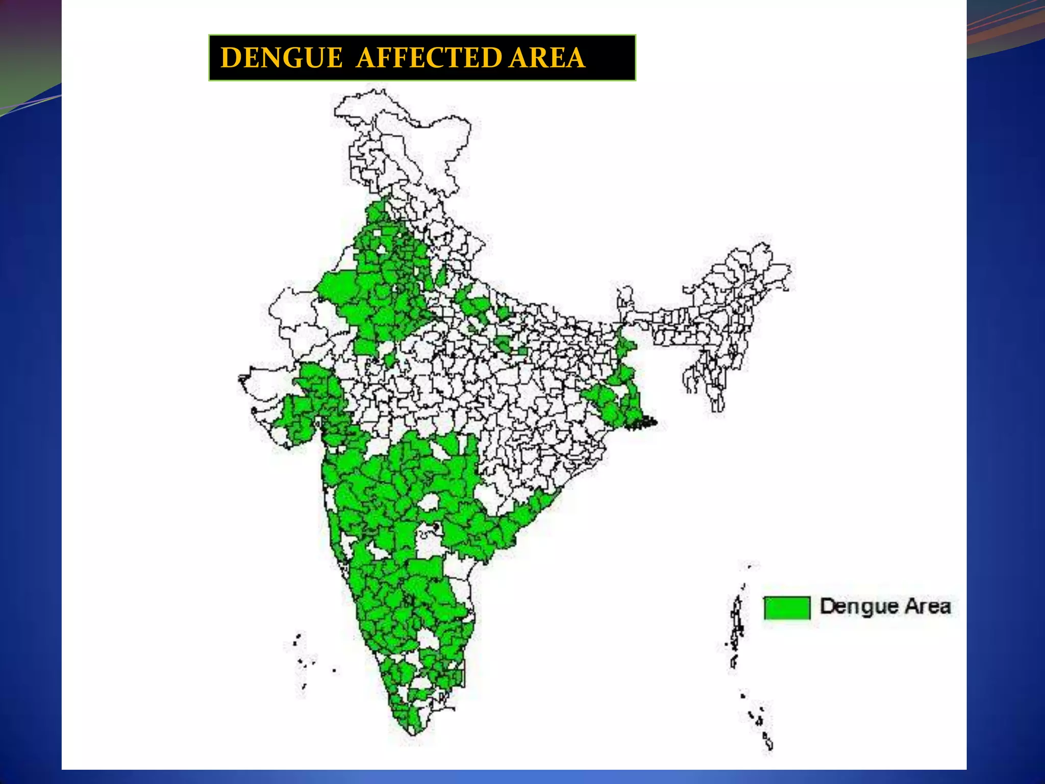 DENGUE AFFECTED AREA

 