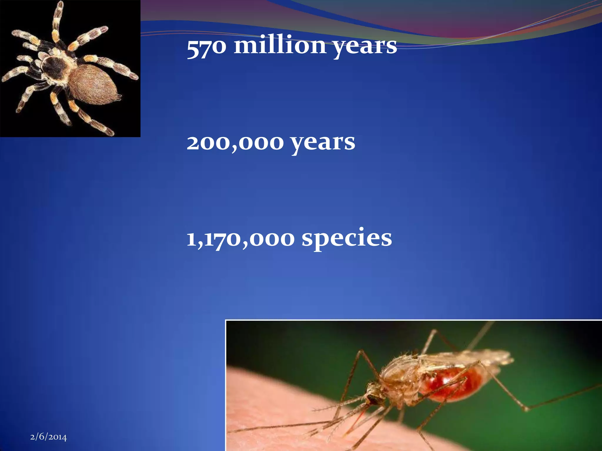 570 million years

200,000 years

1,170,000 species

2/6/2014

7

 