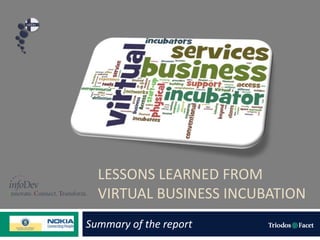 LESSONS LEARNED FROM
  VIRTUAL BUSINESS INCUBATION
Summary of the report
 