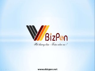 www.vbizpon.net
 