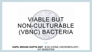 VIABLE BUT
NON-CULTURABLE
(VBNC) BACTERIA
KAPIL MOHAN GUPTA-4507 ; B.SC (HONS.) MICROBIOLOGY ;
IST SEMESTER​
 