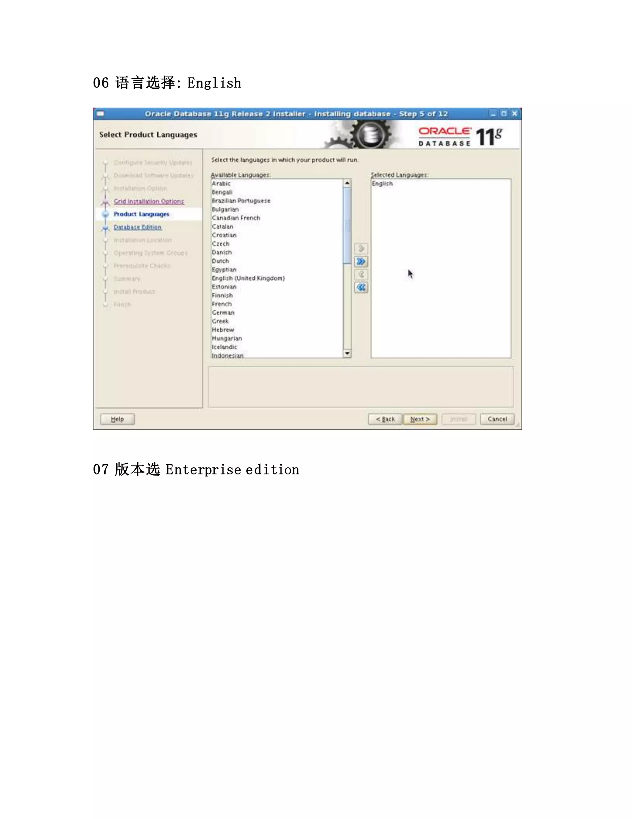 06 语言选择: English
07 版本选 Enterprise edition
 