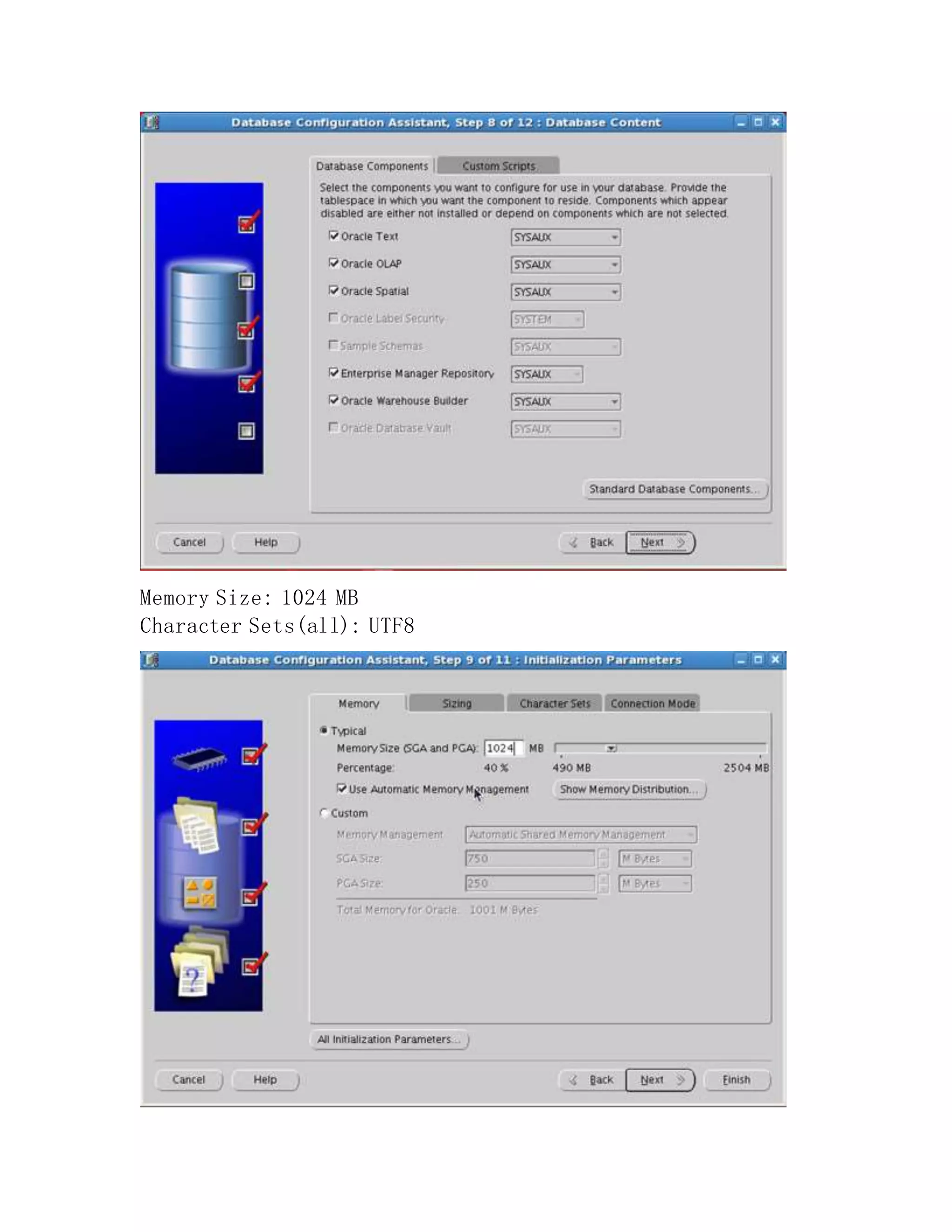 Memory Size: 1024 MB
Character Sets(all): UTF8
 