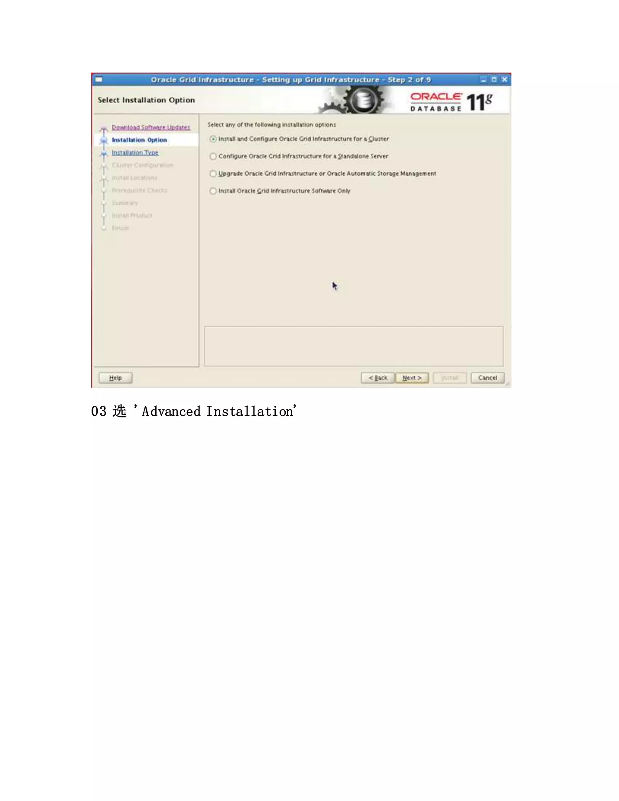 03 选 'Advanced Installation'
 
