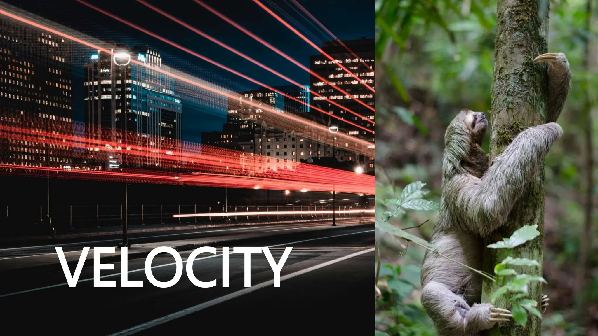 7
©2023 Pure Storage Uncomplicate Data Storage, Forever 7
©2024 Pure Storage Uncomplicate Data Storage, Forever
VELOCITY
 