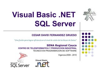 Visual Basic .NETSQL Server CESAR DAVID FERNANDEZ GRUESO“Una fusión para lograr eficiencia en el nivel de visión de las Bases de Datos”SENA Regional Cauca CENTRO DE TELEINFORMATICA Y PRODUCCION INDUSTRIAL TECNICO EN PROGRAMACION DE SOFTWAREVigencia 2009 - 2010 