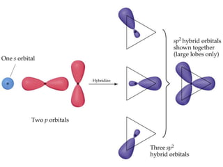 Hybridization is determined by the electron domain geometry.sp Hybrid OrbitalsConsider the BeF2 molecule (experimentally known to exist):Prentice Hall © 2003Chapter 9Hybrid Orbitalssp Hybrid OrbitalsBe has a 1s22s2 electron configuration.