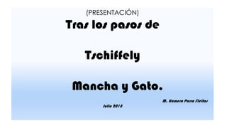 (PRESENTACIÓN)
Tras los pasos de
Tschiffely
Mancha y Gato.
M. Homero Parra Fleitas
Julio 2018
 