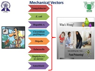 Campylobacter
E. coli
Hepatitis A
Clostridium
perfringens
Shigella
Salmonella
Staphylococc
us aureus
Amoebiasis
Mechanical Vectors
 
