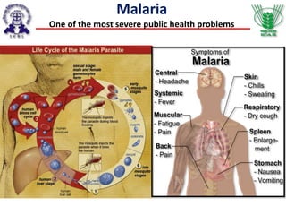 Malaria
One of the most severe public health problems
 