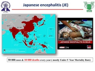 Japanese encephalitis (JE)
50 000 cases & 10 000 deaths every year ( mostly Under 5 Year Mortality Rate)
 