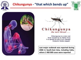Chikungunya - “that which bends up”
Last major outbreak was reported during
2006 in South-East Asia, including India,
where 1 400 000 cases were reported
 