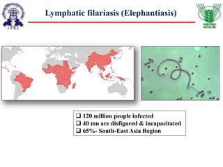 Lymphatic filariasis (Elephantiasis)
 120 million people infected
 40 mn are disfigured & incapacitated
 65%- South-East Asia Region
 