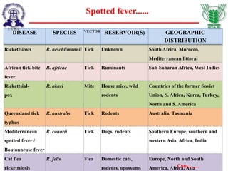 Rickettsiosis R. aeschlimannii Tick Unknown South Africa, Morocco,
Mediterranean littoral
African tick-bite
fever
R. africae Tick Ruminants Sub-Saharan Africa, West Indies
Rickettsial-
pox
R. akari Mite House mice, wild
rodents
Countries of the former Soviet
Union, S. Africa, Korea, Turkey,,
North and S. America
Queensland tick
typhus
R. australis Tick Rodents Australia, Tasmania
Mediterranean
spotted fever /
Boutonneuse fever
R. conorii Tick Dogs, rodents Southern Europe, southern and
western Asia, Africa, India
Cat flea
rickettsiosis
R. felis Flea Domestic cats,
rodents, opossums
Europe, North and South
America, Africa, Asia
DISEASE SPECIES VECTOR
RESERVOIR(S) GEOGRAPHIC
DISTRIBUTION
Spotted fever......
Cont.........
 