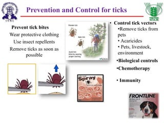 Prevention and Control for ticks
Prevent tick bites
Wear protective clothing
Use insect repellents
Remove ticks as soon as
possible
Center for Food Security and Public
Health, Iowa State University, 2013
• Control tick vectors
•Remove ticks from
pets
• Acaricides
• Pets, livestock,
environment
•Chemotherapy
• Immunity
•Biological controls
 