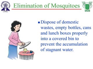 Elimination of Mosquitoes
 Dispose of domestic
wastes, empty bottles, cans
and lunch boxes properly
into a covered bin to
prevent the accumulation
of stagnant water.
 