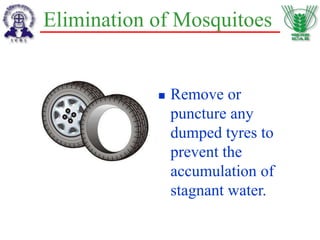 Elimination of Mosquitoes
 Remove or
puncture any
dumped tyres to
prevent the
accumulation of
stagnant water.
 