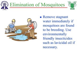 Elimination of Mosquitoes
 Remove stagnant
water immediately if
mosquitoes are found
to be breeding. Use
environmentally
friendly insecticides
such as lavicidal oil if
necessary.
 
