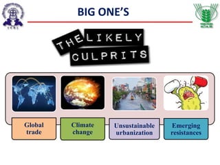 BIG ONE’S
Global
trade
Climate
change
Unsustainable
urbanization
Emerging
resistances
 