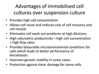 Advantages of immobilised cell
cultures over suspension culture
• Provides high cell concentration
• Allows cell reuse and reduces cost of cell recovery and
cell recycle
• Eliminates cell wash out problems at high dilutions.
• High volumetric productivity = high cell concentration
+ high flow rates
• Provides favourable microenvironental conditions for
cells which leads to better performance of
biocatalysts.
• Improves genetic stability in some cases.
• Protection against shear damage for some cells.
 