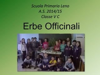 Scuola Primaria Leno
A.S. 2014/15
Classe V C
Erbe Officinali
 