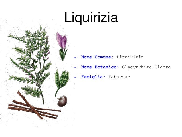 Sentire Odore Di Liquirizia Significato La liquirizia