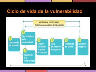 Ciclo de vida de la vulnerabilidad

 