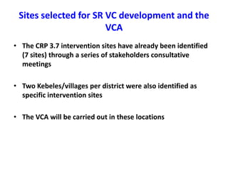 Approaches to value chain analysis for sheep and goat value chains development in Ethiopia 