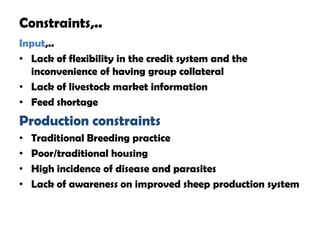 Value chain analysis of sheep in Atsbi district of Tigray Region, Ethiopia