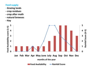 Value chain analysis of sheep in Atsbi district of Tigray Region, Ethiopia