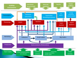 Goat value chains in Yabelo district of Borana zone, Ethiopia: Results of a rapid value chain assessment 