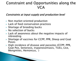 Goat value chains in Yabelo district of Borana zone, Ethiopia: Results of a rapid value chain assessment 