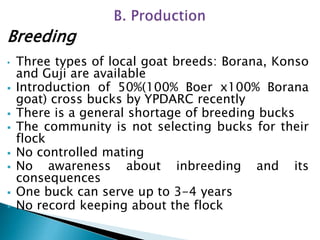 Goat value chains in Yabelo district of Borana zone, Ethiopia: Results of a rapid value chain assessment 