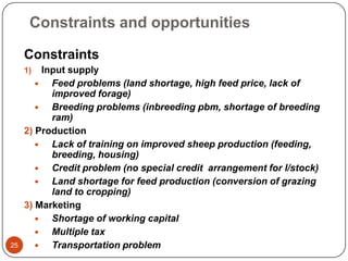 Sheep value chain development in Doyogena District of SNNPR, Ethiopia: Results of a rapid value chain assessment