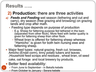 Sheep value chain development in Doyogena District of SNNPR, Ethiopia: Results of a rapid value chain assessment