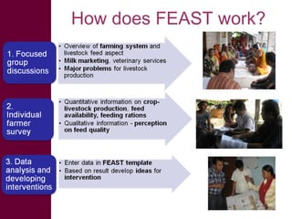 What does value chain assessment mean from the feed perspectives?