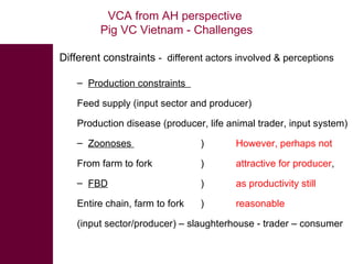 Value chain assessment from an animal health perspective