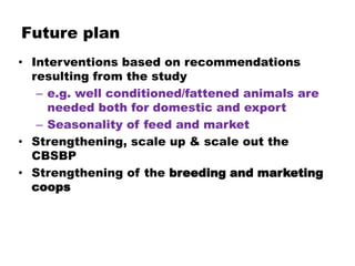 Value chain analysis of sheep in Horro district of Oromia Region, Ethiopia