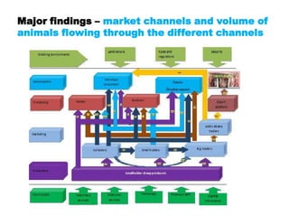 Value chain analysis of sheep in Horro district of Oromia Region, Ethiopia