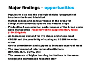 Value chain analysis of sheep in Horro district of Oromia Region, Ethiopia