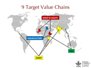 Value Chain Rabbitry Value chain development in the Livestock and Fish Research Program | PPT