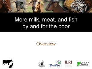 Value chain development in the Livestock and Fish Research Program