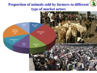 Sheep value chains in Menz Gera district, North Shewa Zone, Ethiopia: Results of a rapid value chain assessment