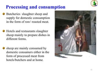 Sheep value chains in Menz Gera district, North Shewa Zone, Ethiopia: Results of a rapid value chain assessment